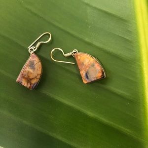 Sterling silver, petrified wood earrings
